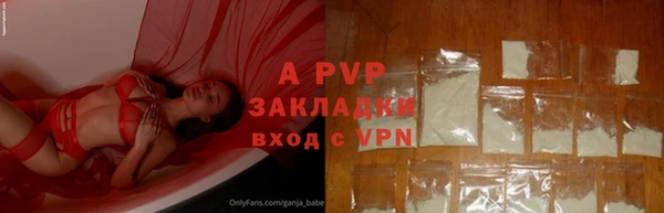 индика Беломорск
